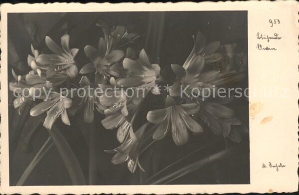 Blumen