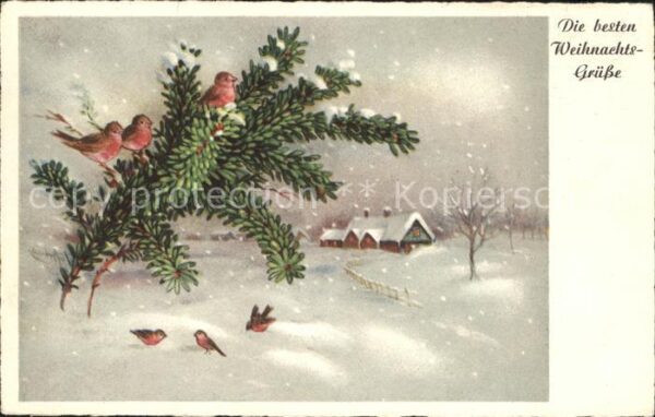 Voegel Weihnachten