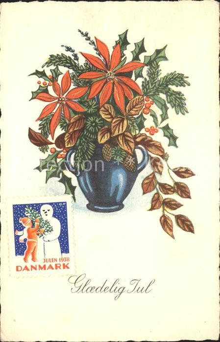 Weihnachten Weihnachtsstern Stechpalme
