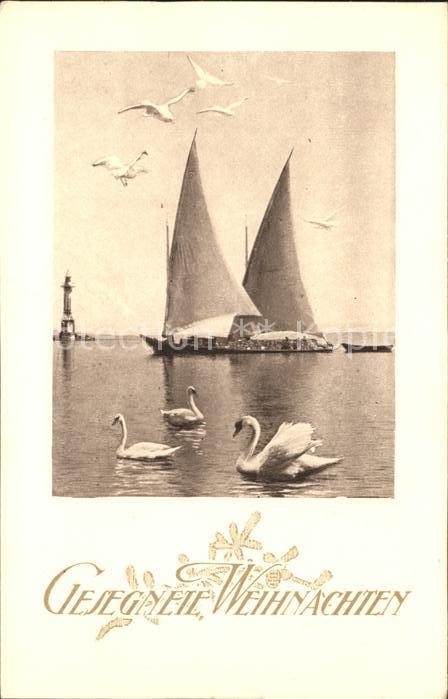 Schwan Schwäne Segelboot Möwen Weihnachten