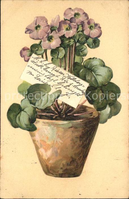 Blumen Veilchen Litho
