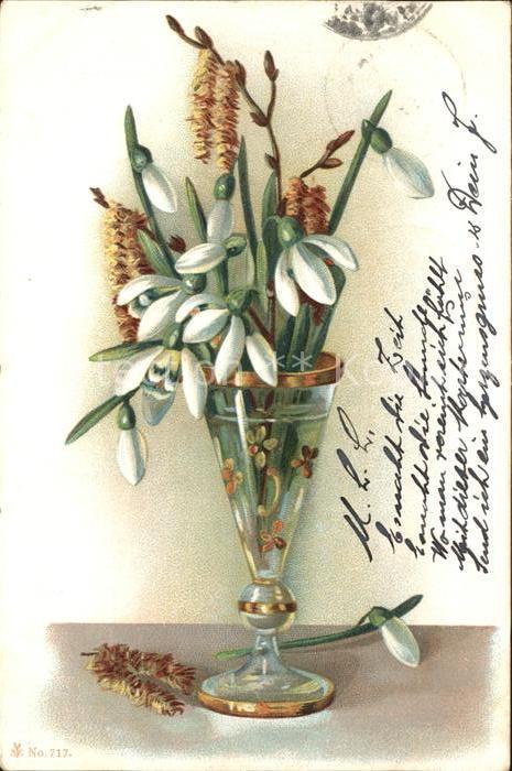 Blumen Schneeglöckchen Weidenkätzchen Litho