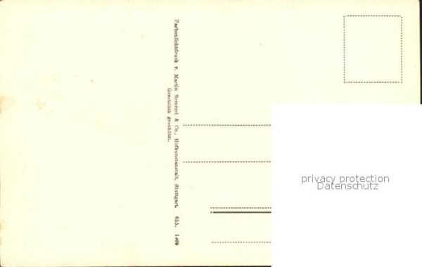 Blumen Hyazinthe – Bild 2