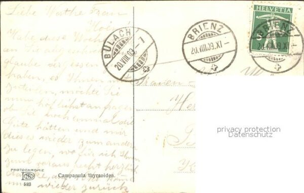 Verlag Photochromie Nr. 523 Campanula thyrsoides Strauß-Glocken – Bild 2