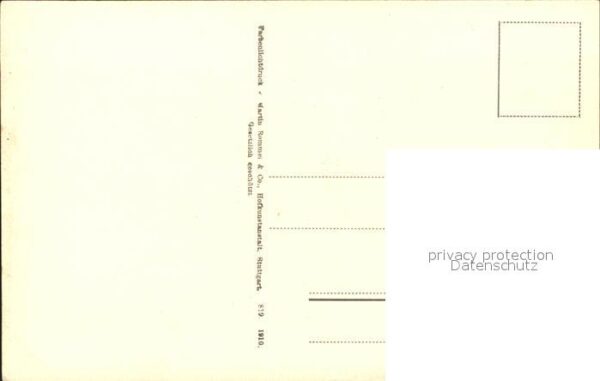 Rosen Vase – Bild 2