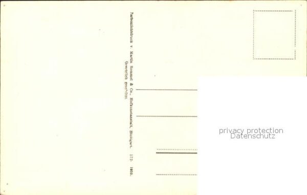 Blumen Narzisse – Bild 2