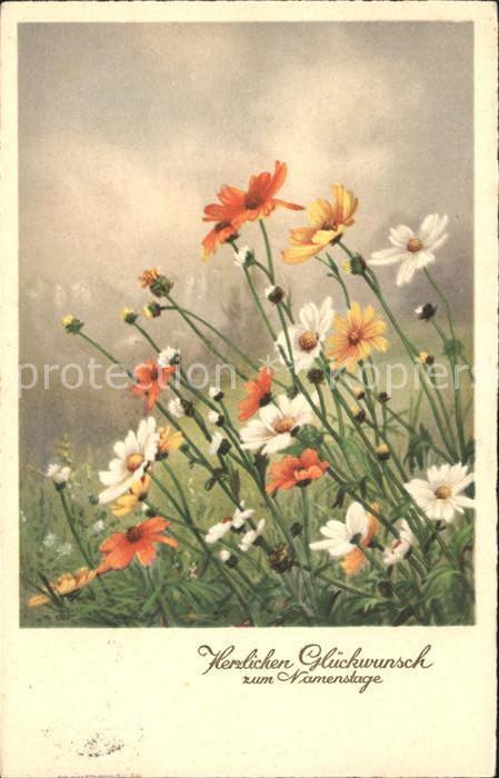 Namenstag Namenskarte Gänseblümchen