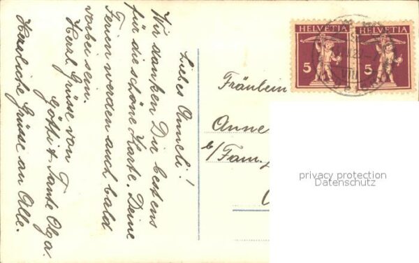 Rosen Nelken – Bild 2
