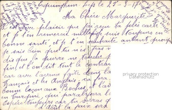 Voegel – Bild 2