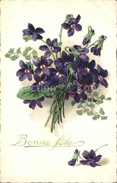 Blumen Veilchen Bonne fete Litho