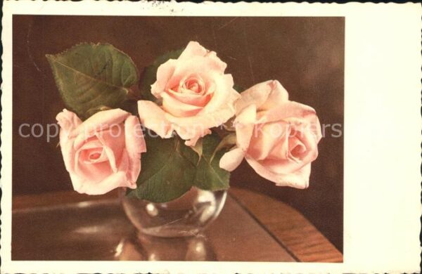 Rosen