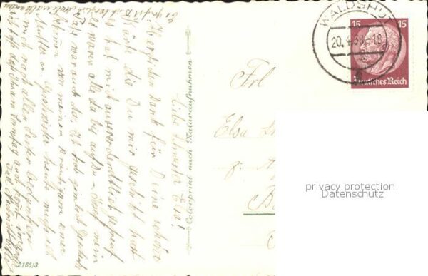 Rosen – Bild 2