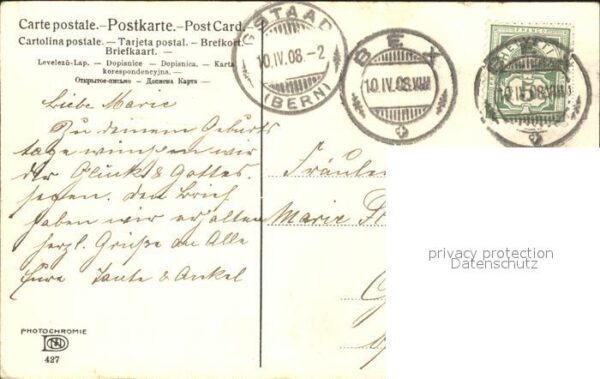 Verlag Photochromie Nr. 427 Narzissen – Bild 2