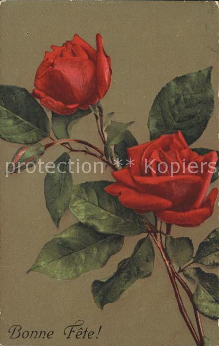 Rosen Bonne Fete