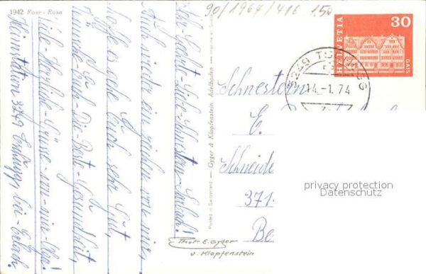 Rosen – Bild 2