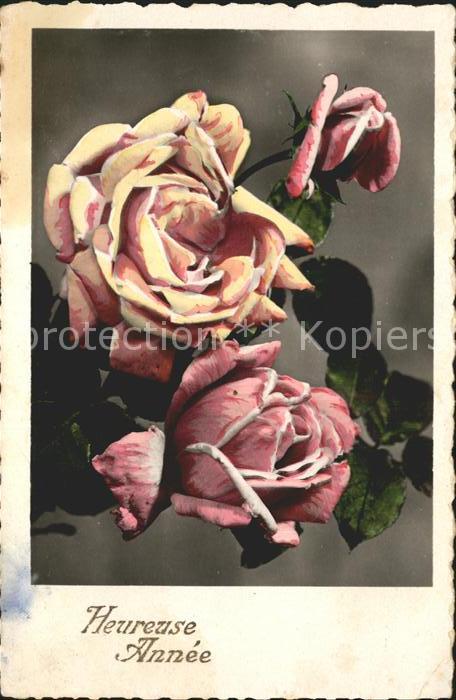 Rosen Heureuse Annee