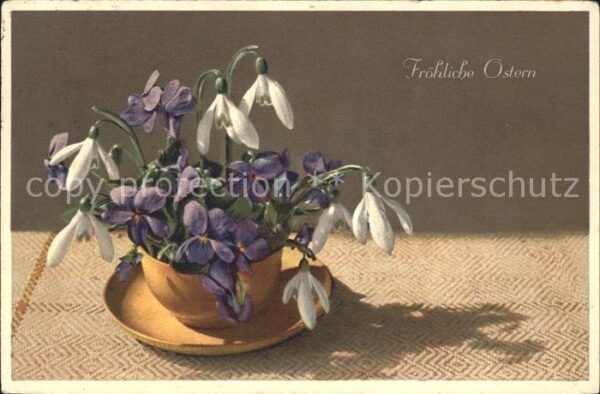 Ostern Easter Paques Schneeglöckchen Waldveilchen