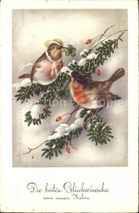 Voegel Rotkehlchen Neujahr Kleeblätter