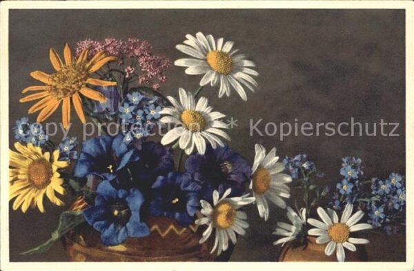 Blumen Margeriten Enziane Vergissmeinnicht Ast