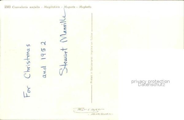 Maigloeckchen Convalaria majalia Muguets Mughetto – Bild 2
