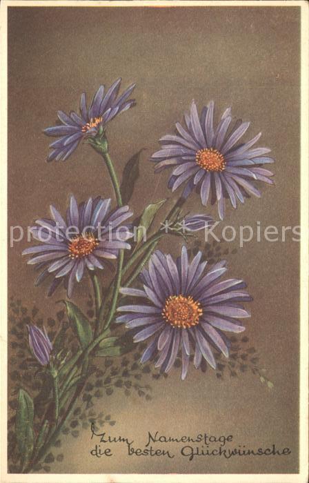Namenstag Namenskarte Glückwunsch Aster