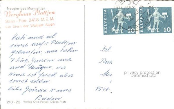 Murmeltier – Bild 2