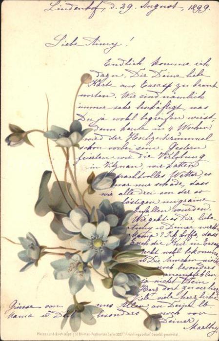 Verlag Meissner und Buch Blumen Serie Frühlingsboten Litho