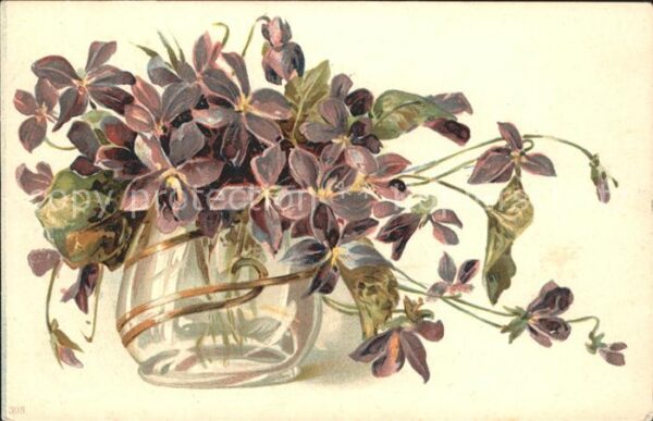 Blumen Veilchen Vase Litho