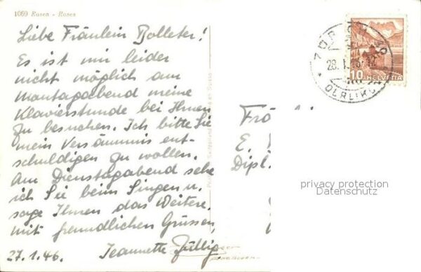 Rosen – Bild 2