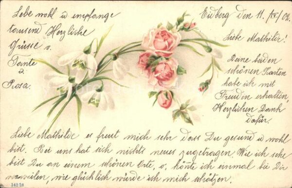 Rosen Schneeglöckchen Litho