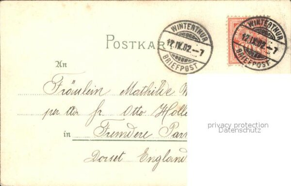 Rosen Schneeglöckchen Litho – Bild 2