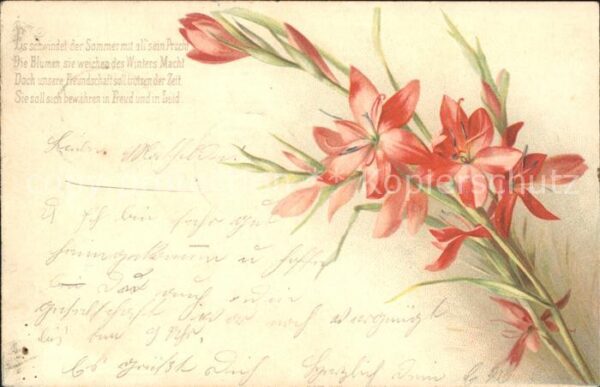 Blumen Gedicht Litho