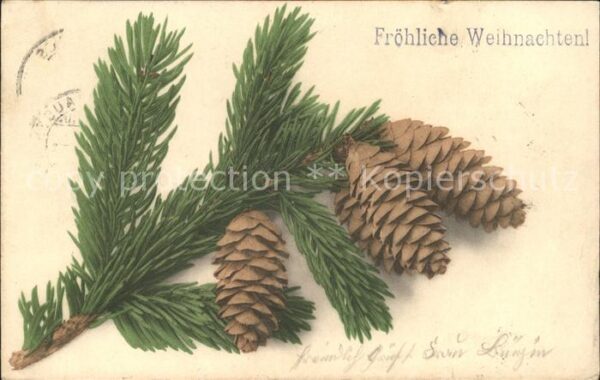 Tannenzapfen Weihnachten