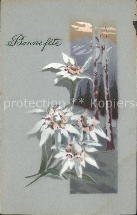 Edelweiss Bonne fete
