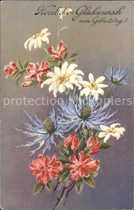Geburtstag Edelweiss Alpenblumen Kornblumen