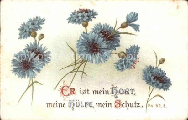 Blumen Kornblumen Litho