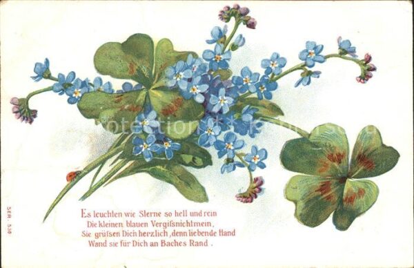 Kleeblatt Cloverleaf Trebol Trefle Vergissmeinnicht Gedicht Litho