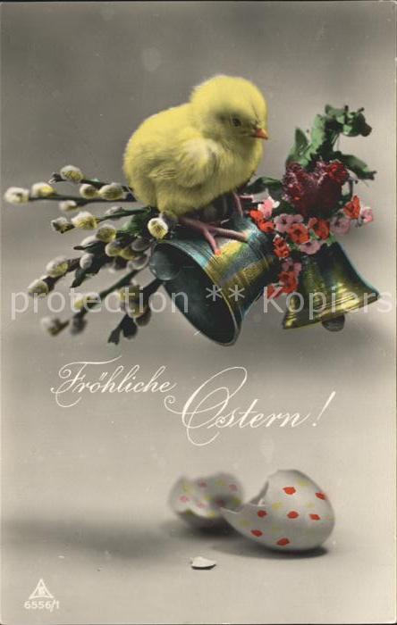 Foto PH Nr. 6556/1 Küken Glocken Weidenkätzchen Pri