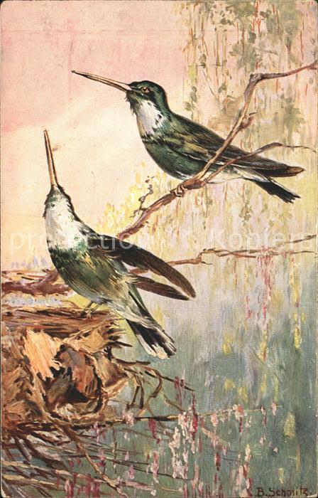 Kuenstlerkarte B. Schmitz Vögel