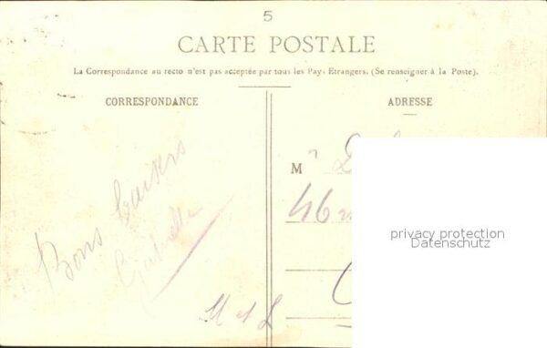 Voegel Pelikane Paris Jardin des Plantes Pelic – Bild 2