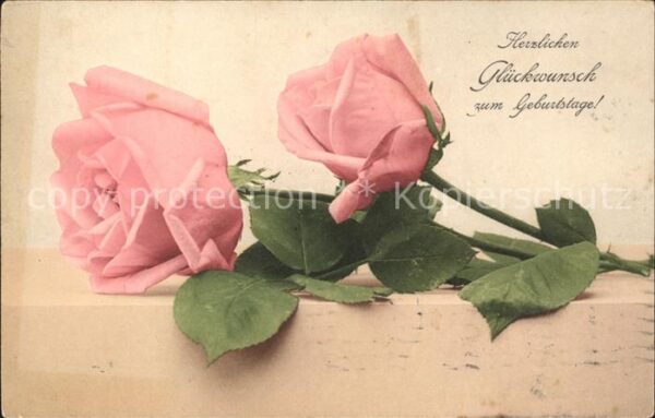 Rosen Glückwunsch Geburtstag