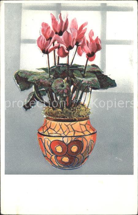 Blumen Alpenveilchen Vase