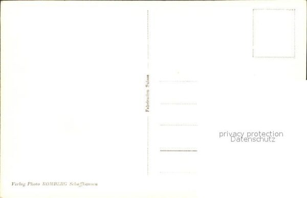 Hirsch Dam-Hirsche Munotgraben – Bild 2