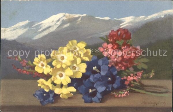 Blumen Alpenrosen Enziane Schlüsselblumen