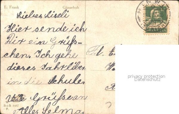 Kuenstlerkarte E. Frank Gänsebub Nr. 6487 Gänse – Bild 2