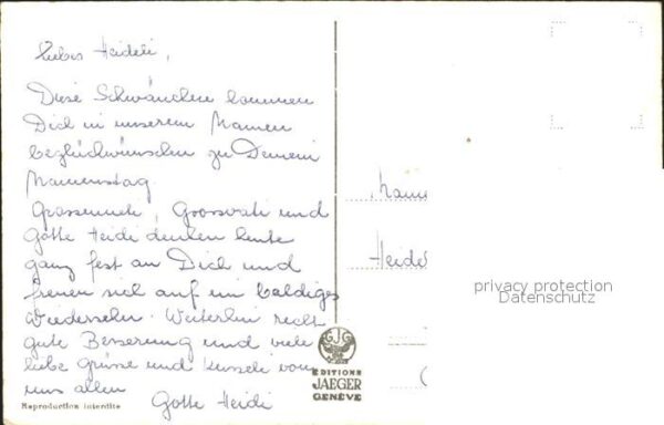 Schwan Schwanenfamilie – Bild 2