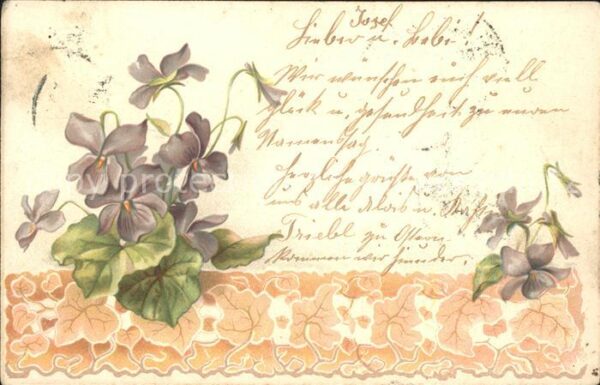 Blumen Veilchen Litho