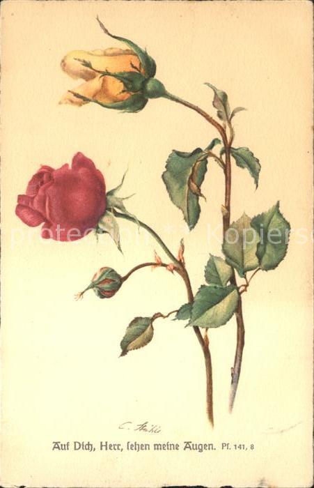 Rosen