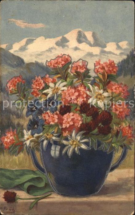 Frueh W. Alpenblumen Edelweiss Enzian Apenrosen