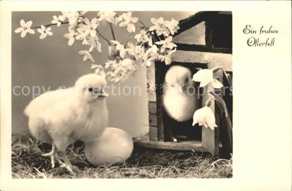 Foto Amag Nr. 68194 Ostern Küken Osterei Blumen